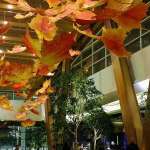 Casasan image - 7